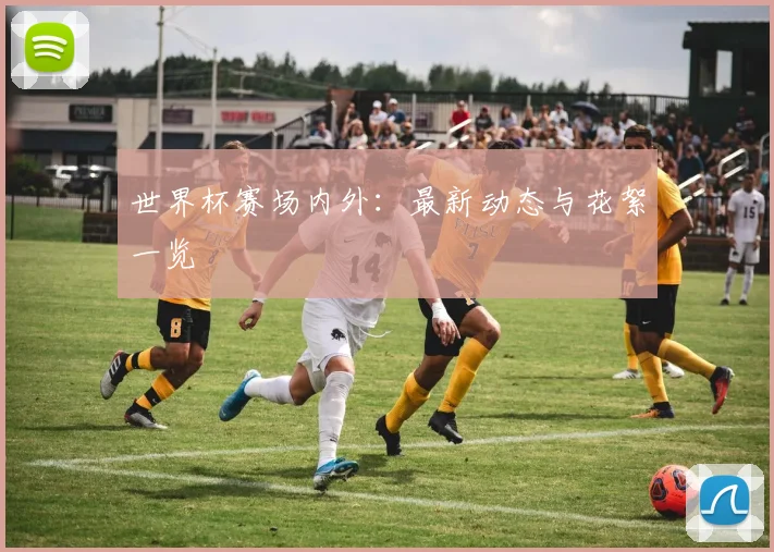 世界杯赛场内外:最新动态与花絮一览