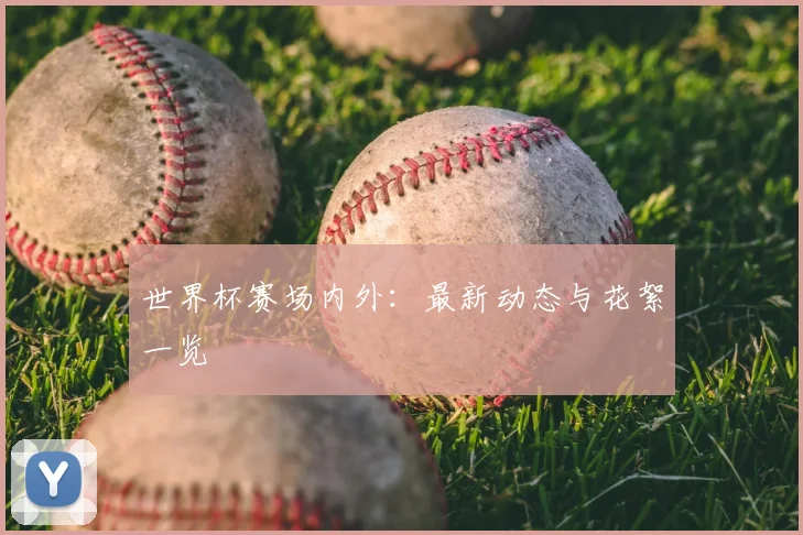 世界杯赛场内外：最新动态与花絮一览