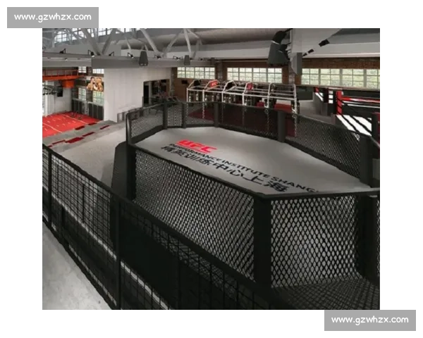 UFC 训练营探秘：顶尖选手的日常训练体系