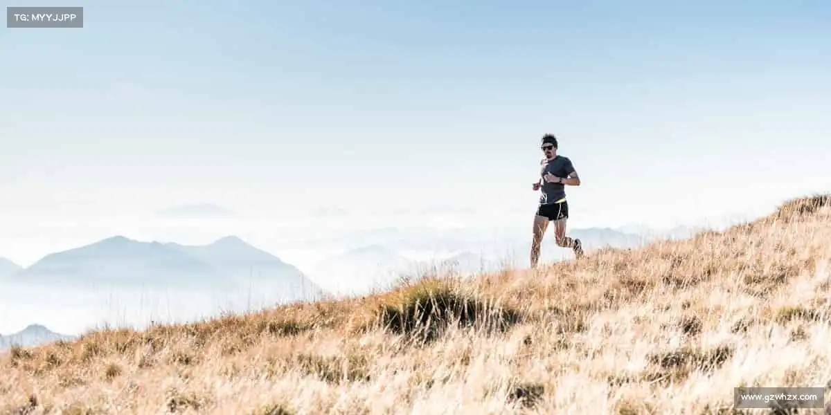 <strong>世界杯官网</strong>在这里，见证汗水与荣耀的故事！🌟